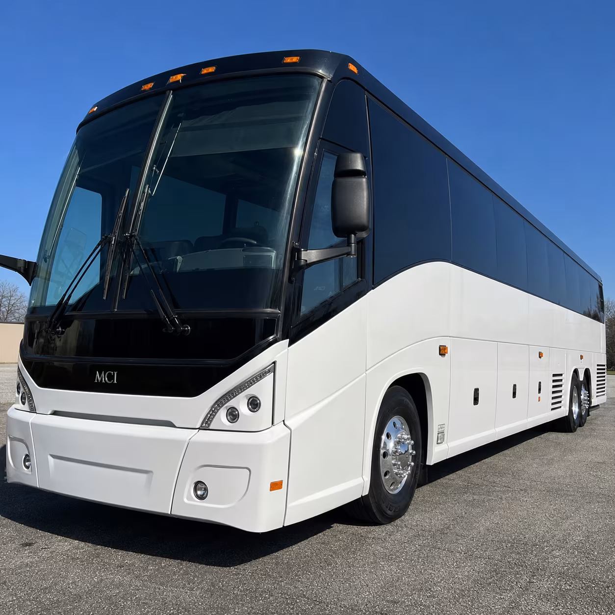 charter buses to brazos bend state park and the george observatory