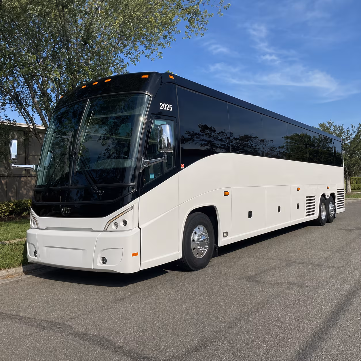 galveston cruise transfers and beach trips from pearland