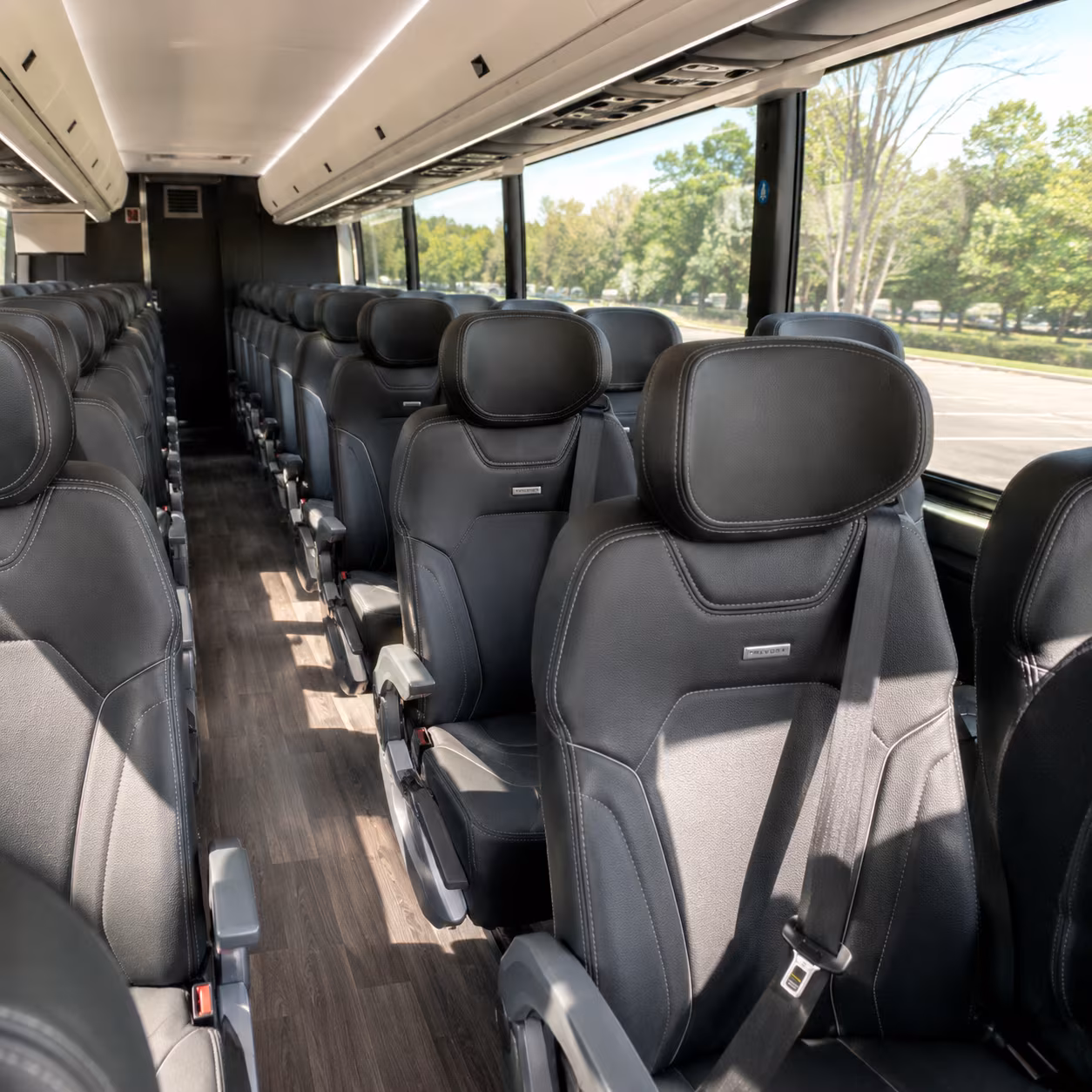 pearland long distance transportation